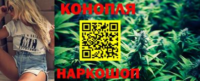 прущая мука Кимры