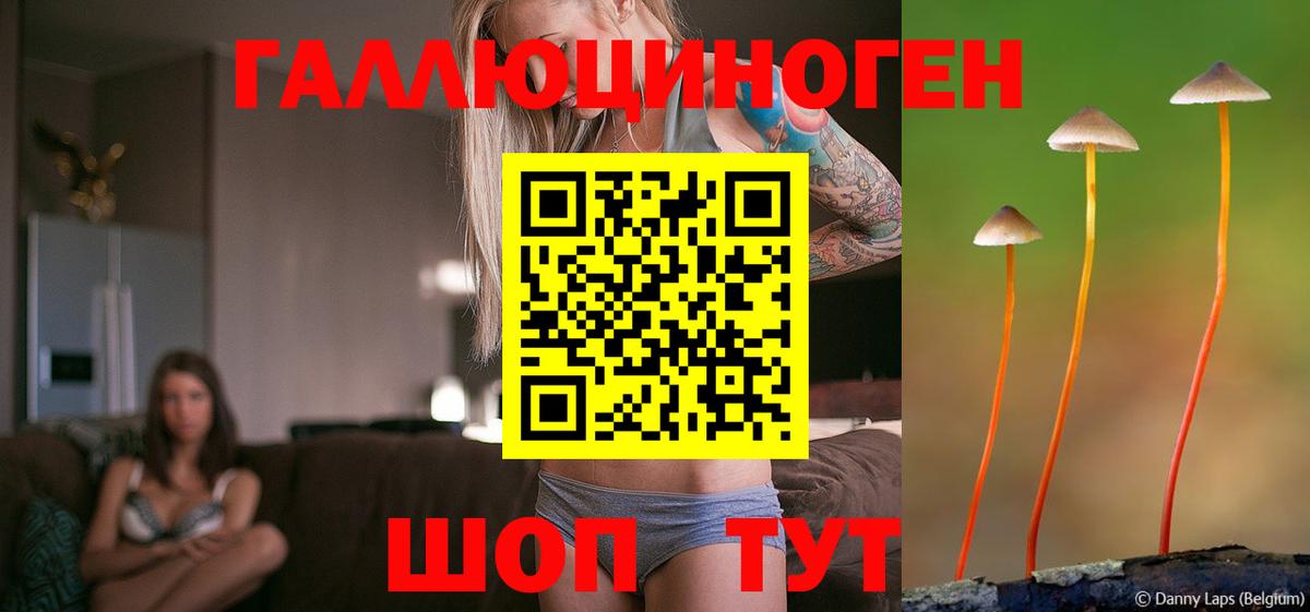 Краснознаменск  как найти закладки  Вход с VPN  Псилоцибиновые грибы ЛСД 